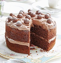 Malted chocolate cake