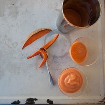 Mamey milkshake