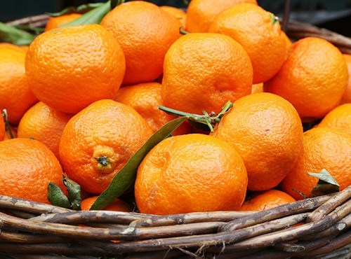 Mandarin cream pots