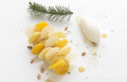 Mango crème Douglas-fir and yoghurt sorbet, white cookie dough