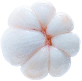 Mangosteen, feijoa, coconut