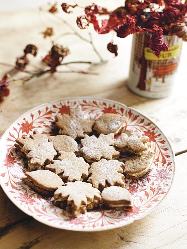 Maple and pecan autumn leaves