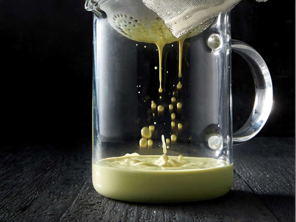 Master nut milk recipe