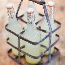 Master soda recipe