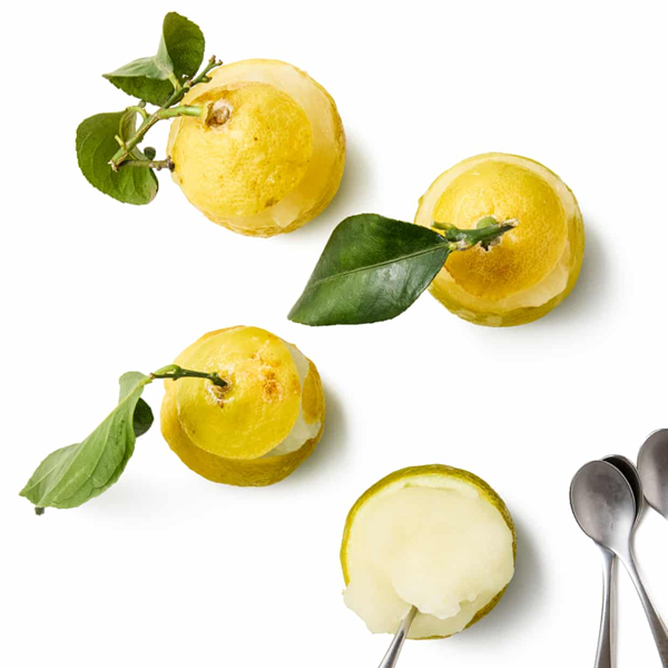 Masterclass: lemon sorbet