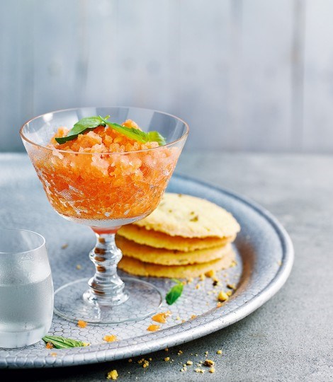 Melon and gin granita with fennel biscuits