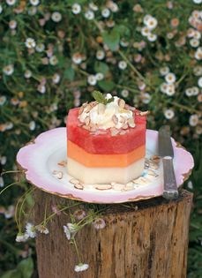 Melon "cake"