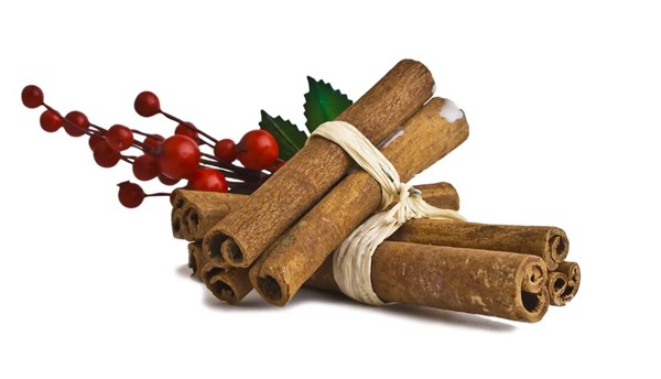 Memories of mistletoe [extract]