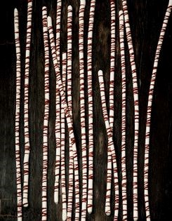 Meringue birch twigs