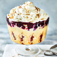 Meringue, madeleine and winter berry trifle