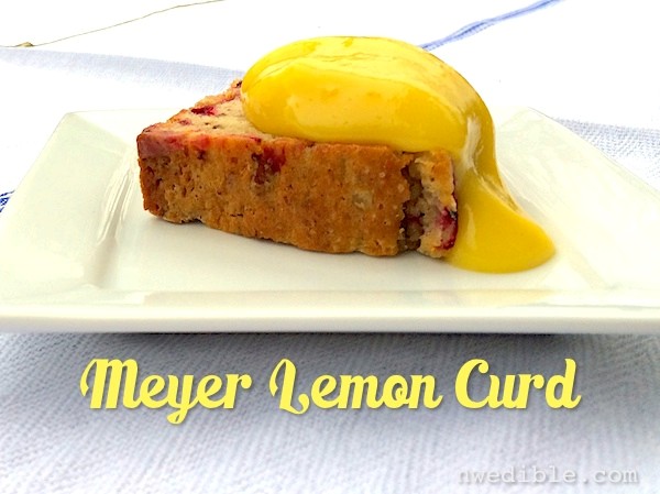 Meyer lemon curd