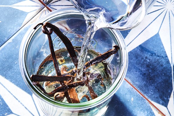 Mezcal vanilla extract