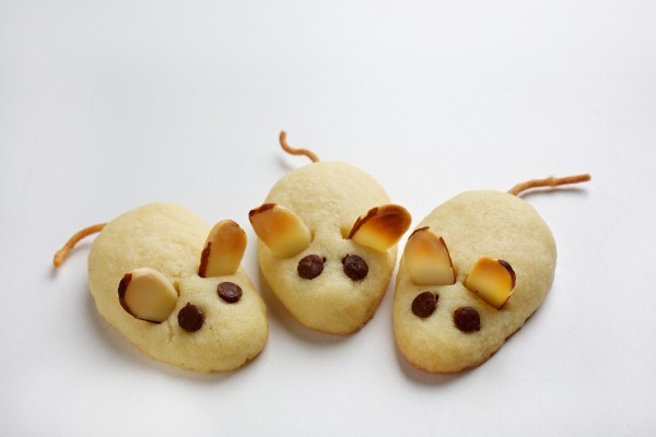 Mice