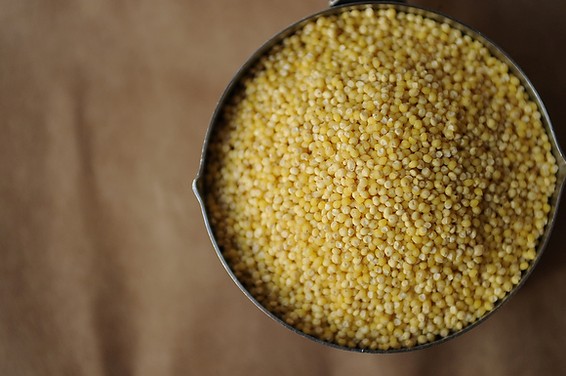 Millet with three cheeses