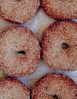 Milo & olive bagels