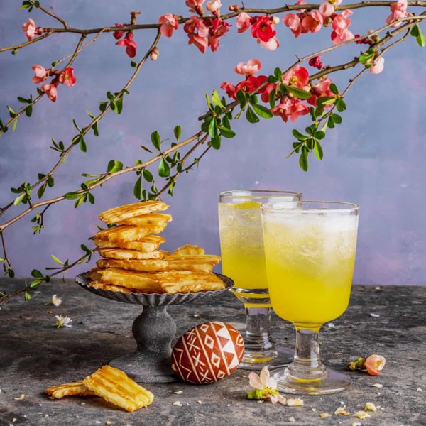 Mimosa