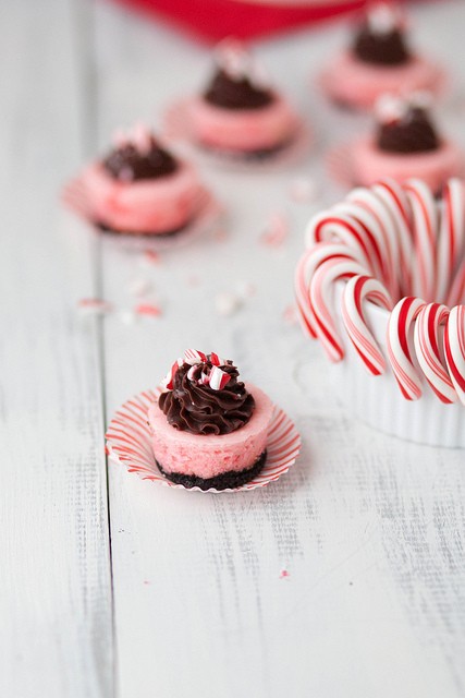 Mini chocolate candy cane cheesecakes