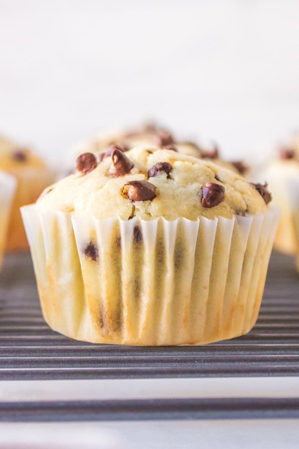 Mini chocolate chips muffins