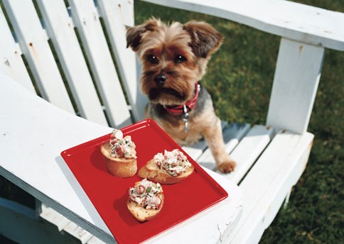 Mini lobster rolls