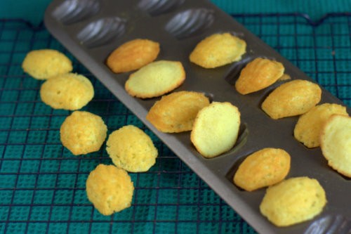 Mini madeleines