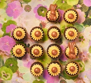 Mini malt chocolate cupcakes