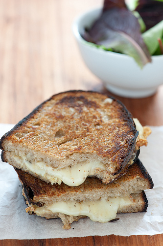 Minimalist toasted cheese sandwich