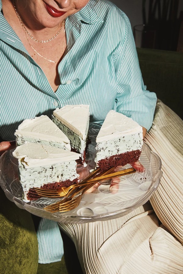 Mint and chip ice cream cake