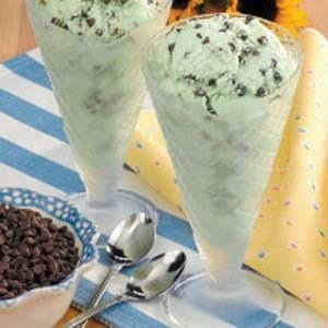 Mint chip ice cream