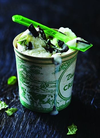 Mint chocolate chip ice cream