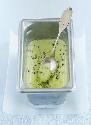 Mint chocolate chip ice cream
