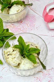Mint chocolate chip ice cream: made with fresh mint