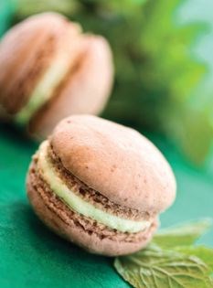 Mint chocolate macarons