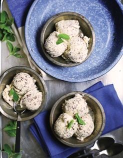 Mint chocolate stracciatella gelato