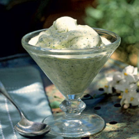 Mint ice cream