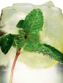 Mint lemmo