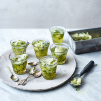 Mint mojito sorbet