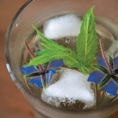 Mint syrup