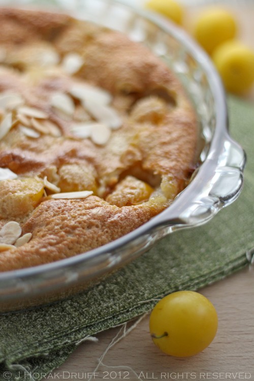 Mirabelle plum clafoutis