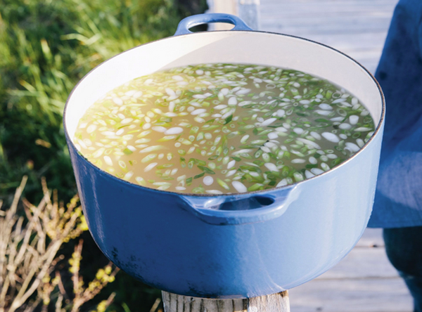 Miso soup with scallions and shiso