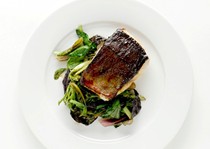 Miso-yaki sea bass