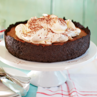 Mississippi mud pie