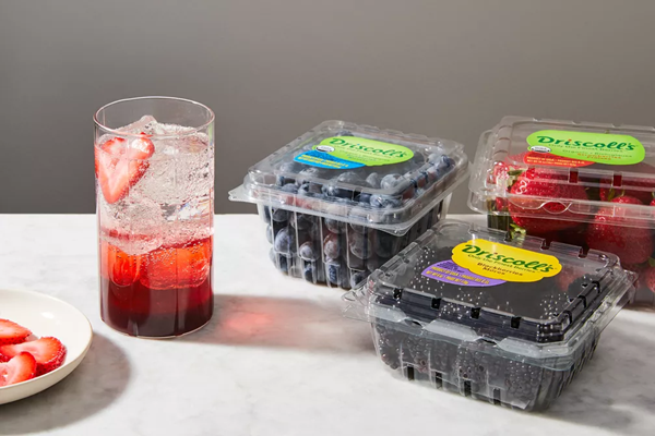 Mixed berry shrub cocktail