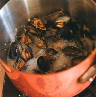 Mixed shellfish stew with wild mushrooms