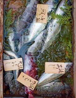 Mixed sushi (Nigiri zushi)