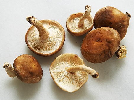 Mixed wild mushroom soup