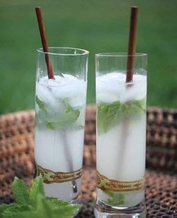 Mojito