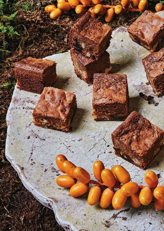 Molasses, date, and walnut squares (Food for the gods)