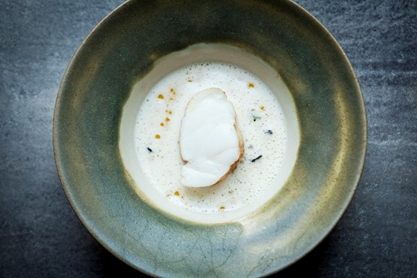 Monkfish with mushrooms and fermented celeriac