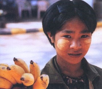 Moonlight bananas