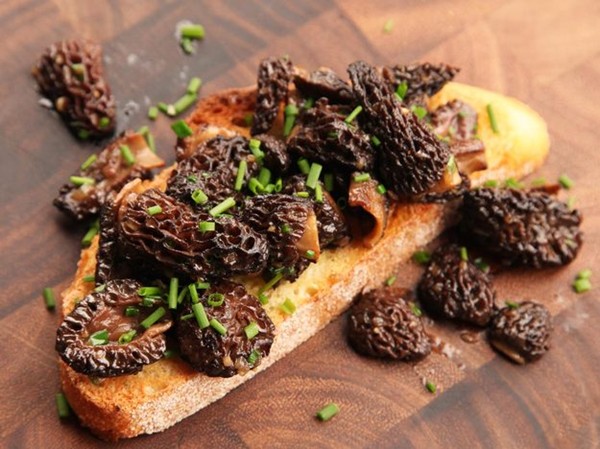 Morel mushroom tartine with chives